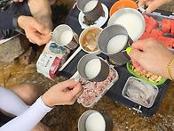 수락산계곡 찾아가..