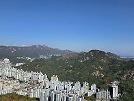 술한잔 리딩. 서대..