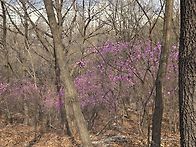 시산제 수락산 산..