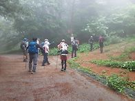 횡성 청태산 산행