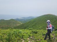 밥봉