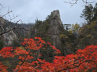 명산인 공룡 등타다