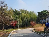 가을 - 센타 풍경