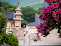 26.07.25 밀양 표충사 낭..