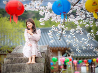 벚꽃출사