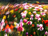 외국인이 access한 사진...