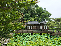 외국인이 access한 사진...