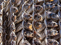 가을여행, 고창, 증도, ..