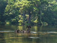 외국인이 access한 사진...