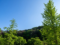소금산 과 뮤지엄산. 1.