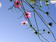 탄천습지생태원의 가을 빛..