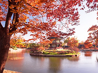 Wonerful Autumn Co..
