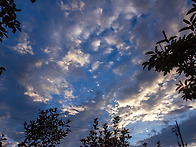 꽃지에서 신두리사구까지...