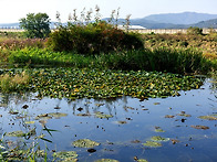 탄천습지생태원의 가을 빛..