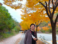 (2025/11/09)당진 면천 ..