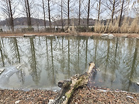 수원일월수목원32박영란