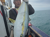 25년 12월 23일 진도 서망..