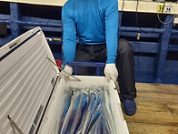 26년 8월 18일 여수 뉴스..
