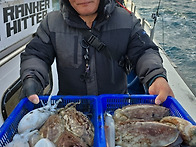 26년 2월 20일 여수 뉴스..