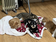 🍀사택 2층 아..