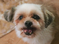 &#127808;251102 봉사