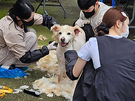 아이들 미용 봉사를 와주셨..