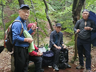 계룡산 수통골...2026/..
