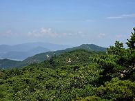 남남산 답사(082..