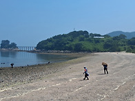[인천 자월도2] 장골해변/..