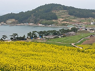 [전남 청산도] 서편제길/..