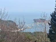 [인천 무의도/소무의도] ..