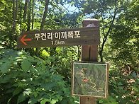 삼척 도계 이끼폭포