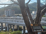 [보성/벌교/순천] 남도여행..