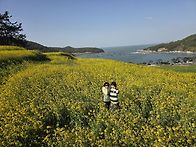 영화 서편제 촬영지 청산도
