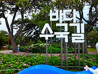 해운대 송림공원 수구탐방..