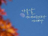 25년 11월 01일 토요일 출..