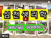 2021년을 마무리하며.....