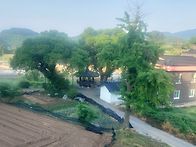 별장텃밭