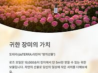 5월 나를 위한 선물 '로즈..