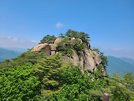 제519차 7/8일 보은 속리..