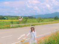 연천 호로고루 - 해바라가..