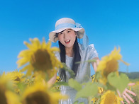 연천 호로고루 - 해바라기