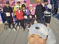3월8일 여의도벚꽃마라톤대..