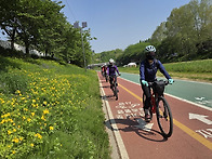 군포초막골, 철쭉동산