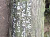 해야 한다는 생각에서 해방..