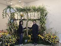 제6회 부산 봄꽃 전시회