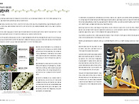 월간 플로라 vol.327 -..