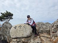 금수산