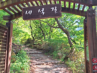 2026년 7월 24 경남 함양 한신계곡