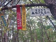 부드러운 육산과 스릴넘치..